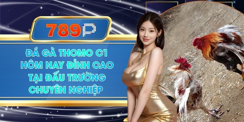 Đá Gà Thomo C1 Hôm Nay Đỉnh Cao Tại Đấu Trường Chuyên Nghiệp Tại 789P